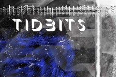 Tidbits