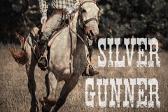 Silver Gunner